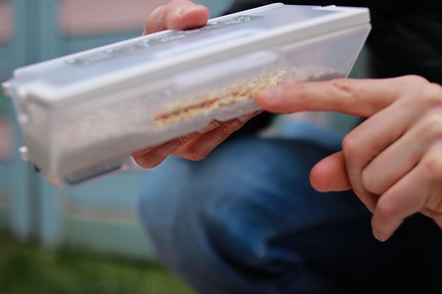 Zur Hälfte gefüllter Schmutzbehälter des Yeedi Vac Max Saugroboters is zu sehen